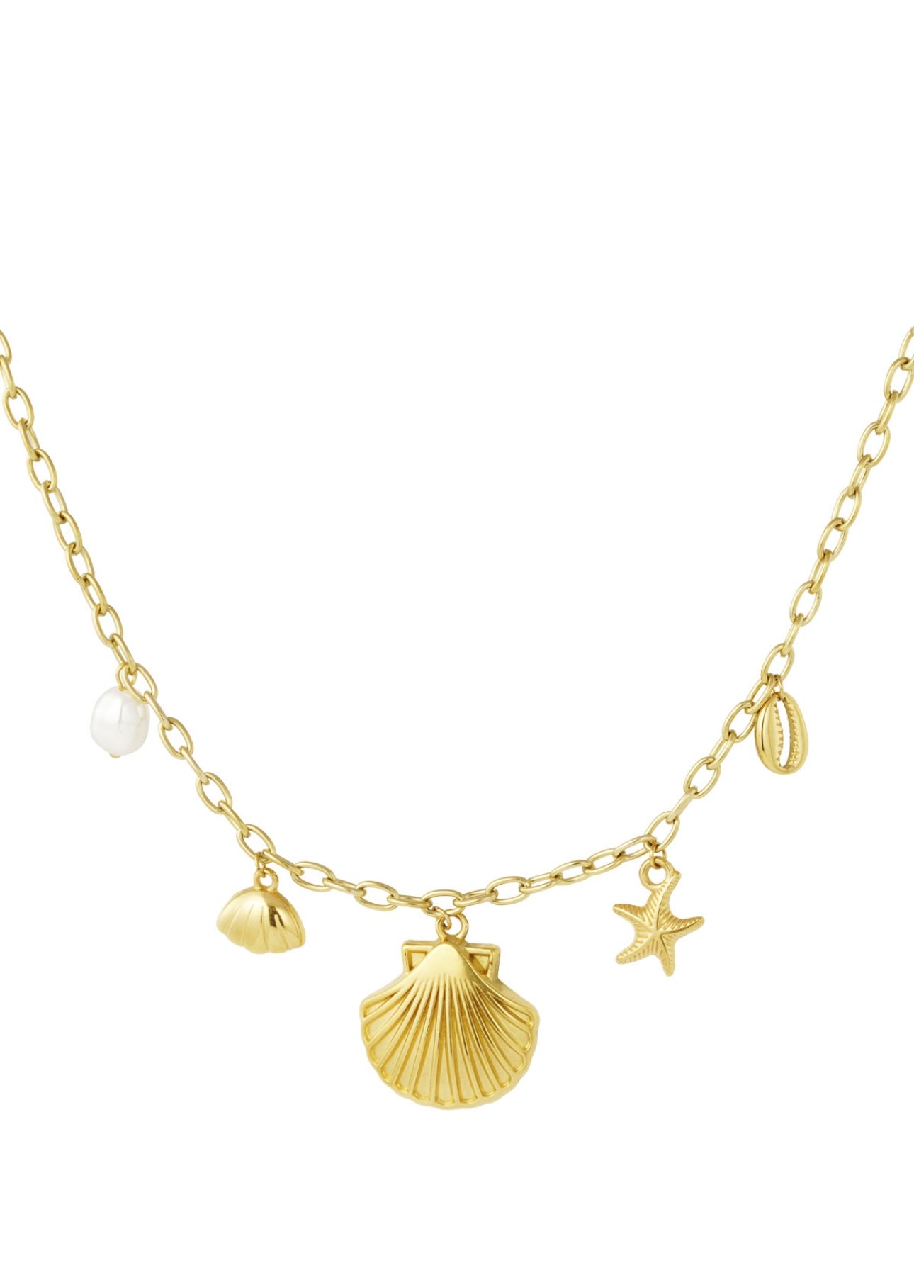 Schelpen bedelketting