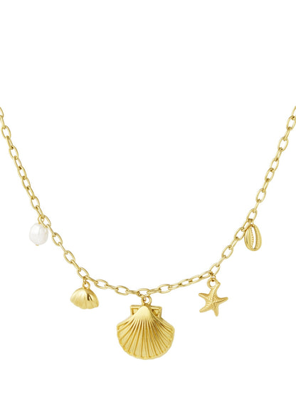 Schelpen bedelketting