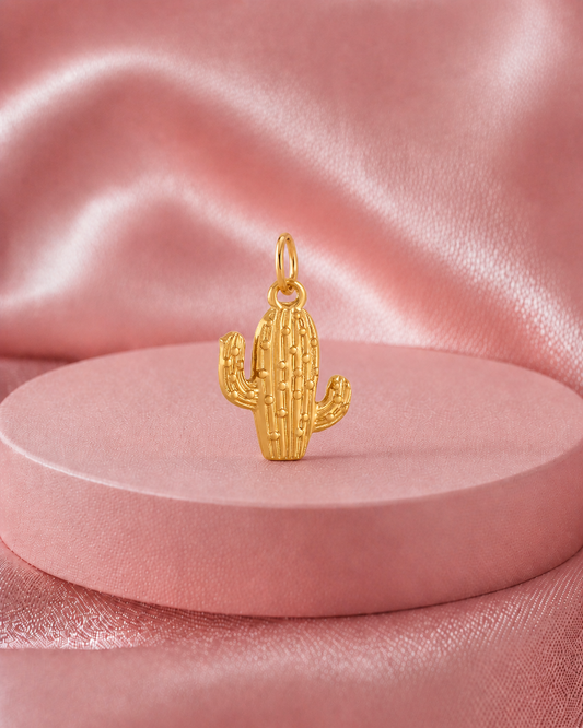 Charm cactus
